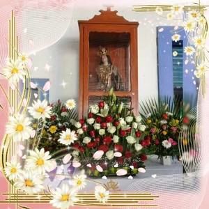 Meet your Posher, Mariana